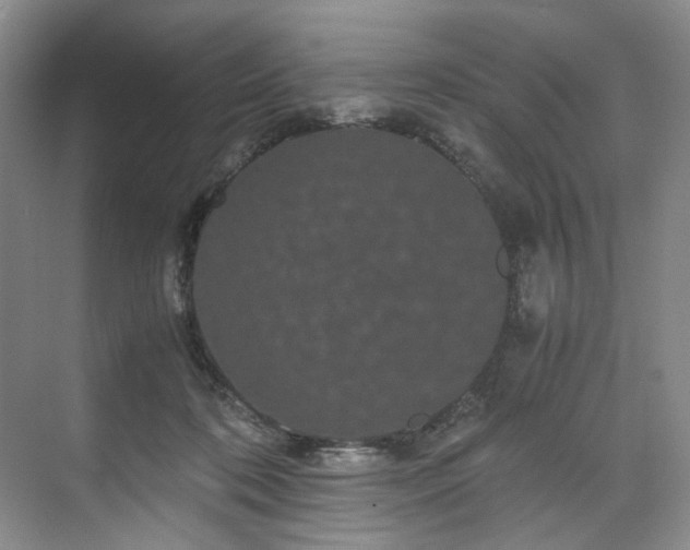 X0000071790316200607071502