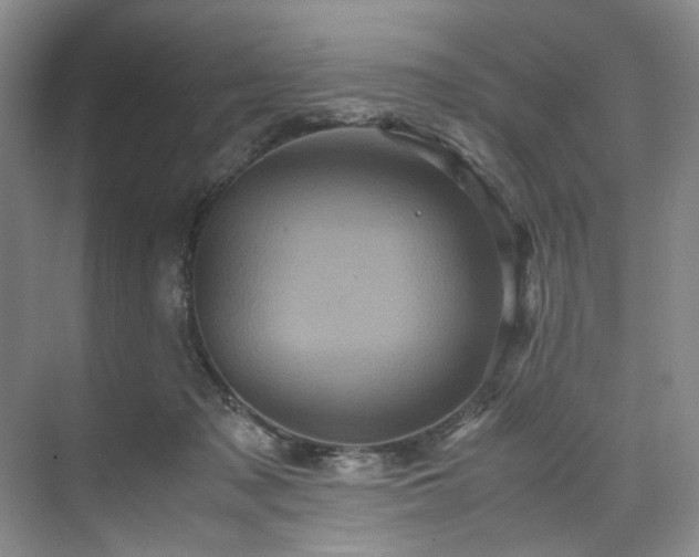 X0000071790317200607071502