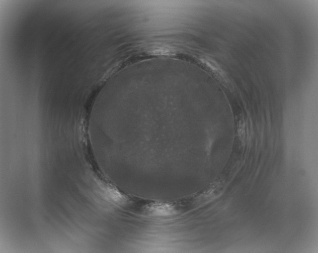 X0000071790322200607071502