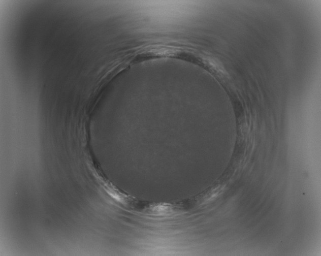 X0000071790325200607071502