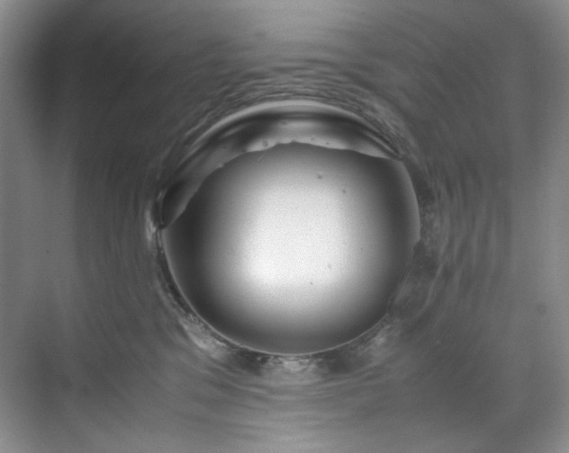 X0000071790329200607071502