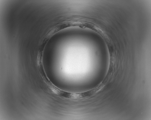 X0000071790333200607071502