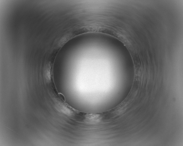 X0000071790334200607071502