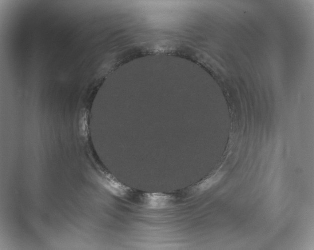 X0000071790336200607071502