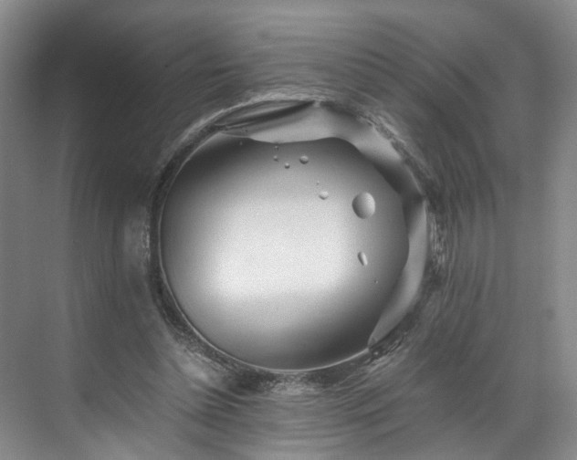 X0000071790348200607071501