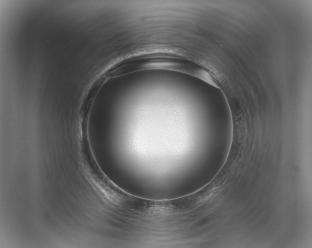 X0000071790350200607071501