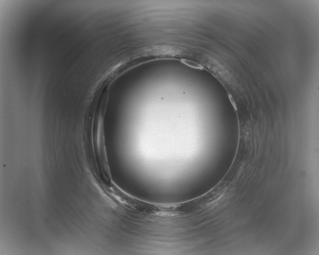 X0000071790352200607071501