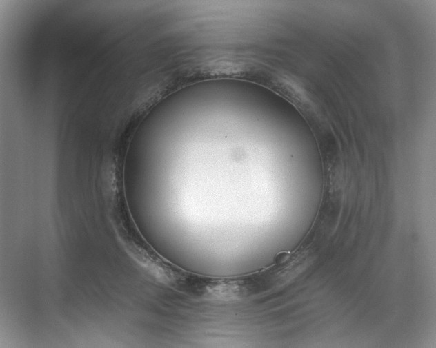 X0000071790362200607071501