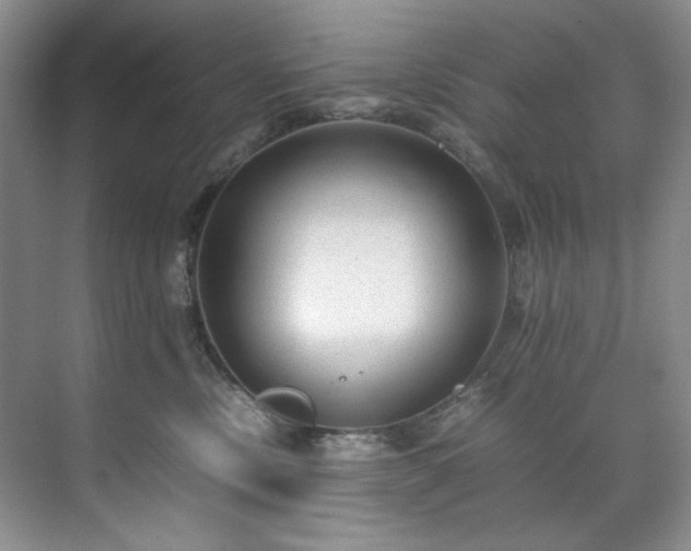 X0000071790378200607071502
