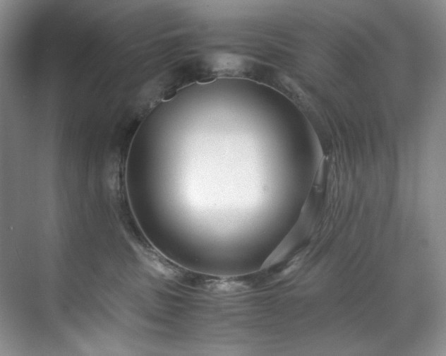 X0000071790379200607071502