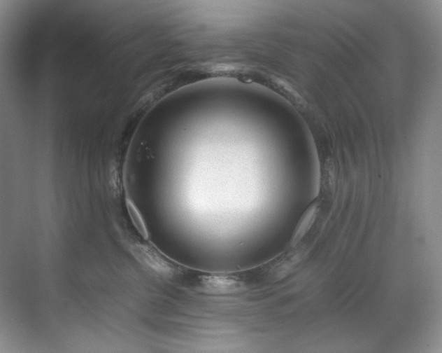 X0000071790380200607071502