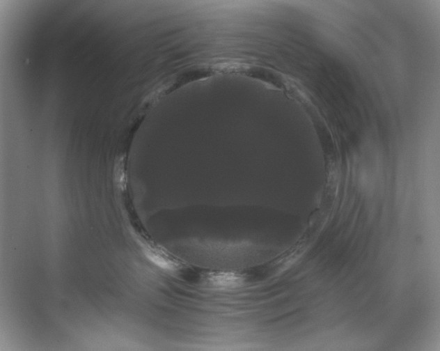 X0000071790383200607071502