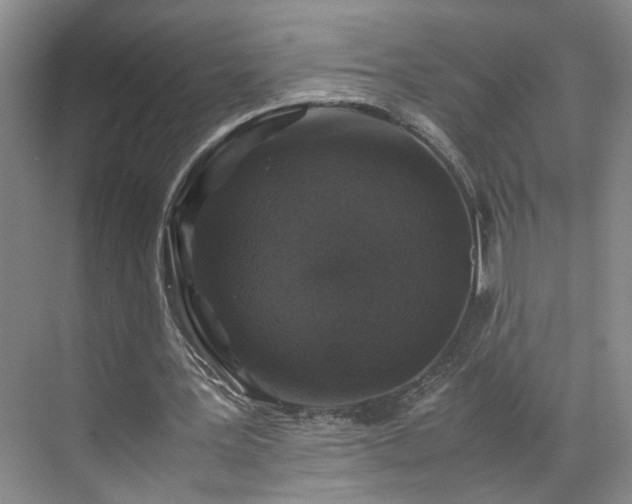 X0000071790387200607071501