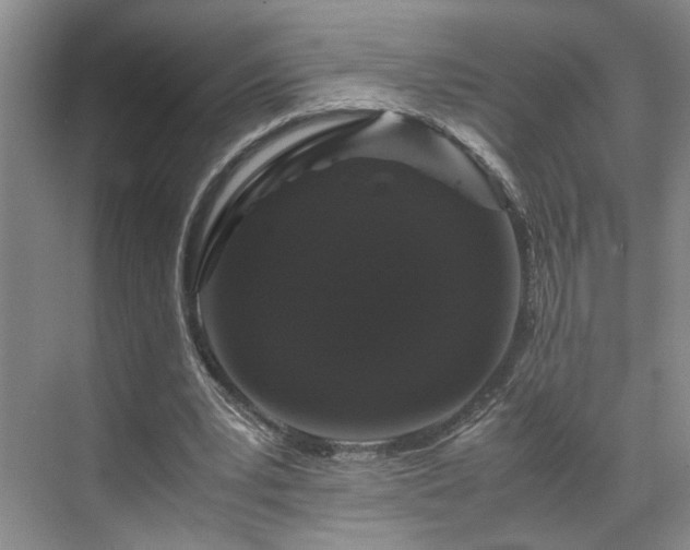 X0000071790391200607071501