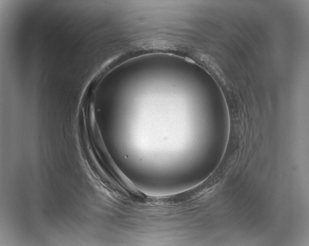 X0000071790395200607071501
