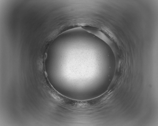 X0000071790401200607071501
