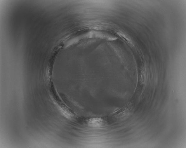 X0000071790410200607071501