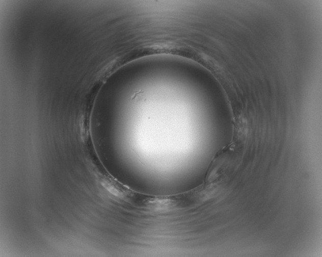 X0000071790428200607071500