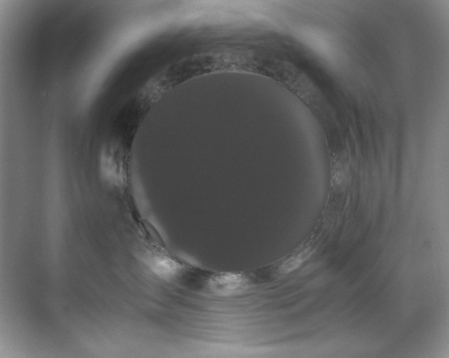 X0000071790431200607071500