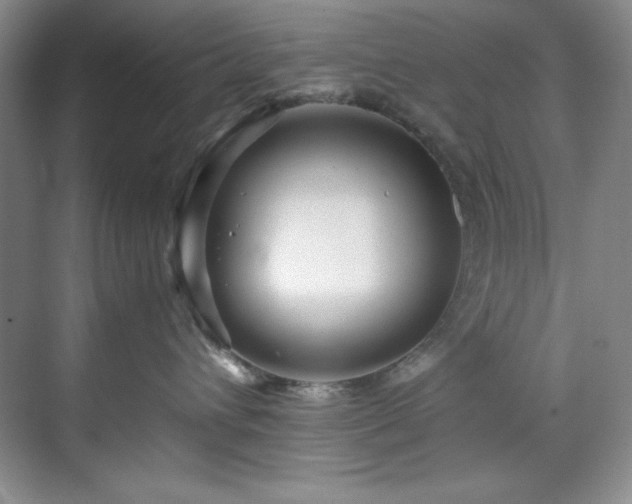 X0000071790432200607071500