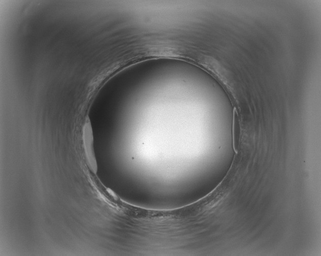 X0000071790433200607071459