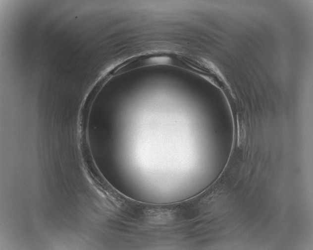 X0000071790435200607071459