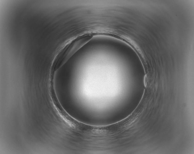 X0000071790437200607071459