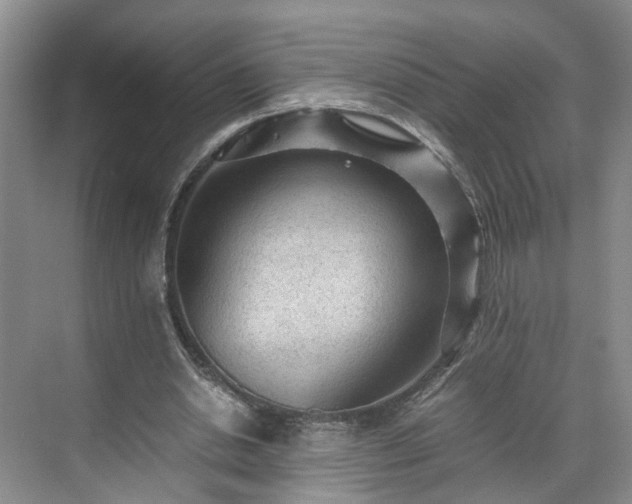 X0000071790438200607071459