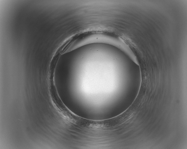 X0000071790440200607071500