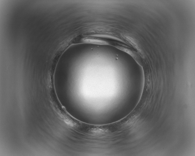 X0000071790453200607071500