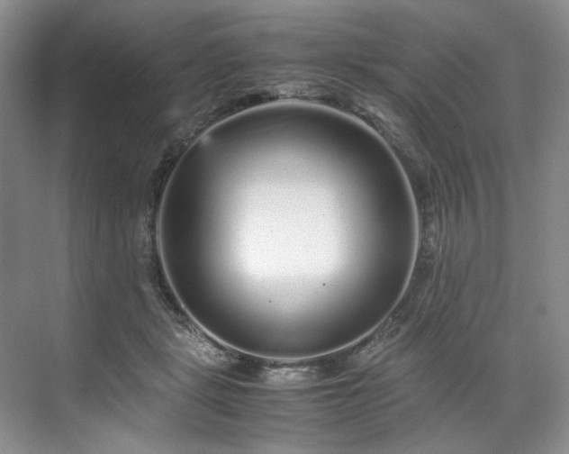 X0000071790461200607071500