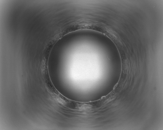 X0000071790463200607071500