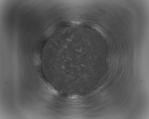 X0000071790467200607071500