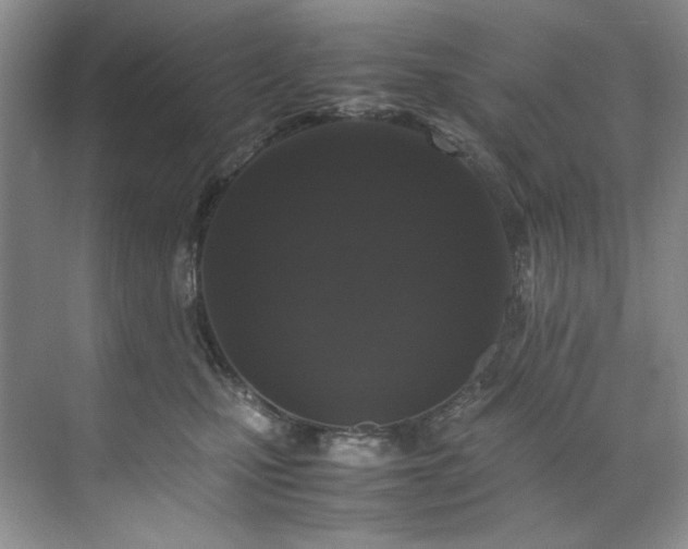 X0000071790471200607071500
