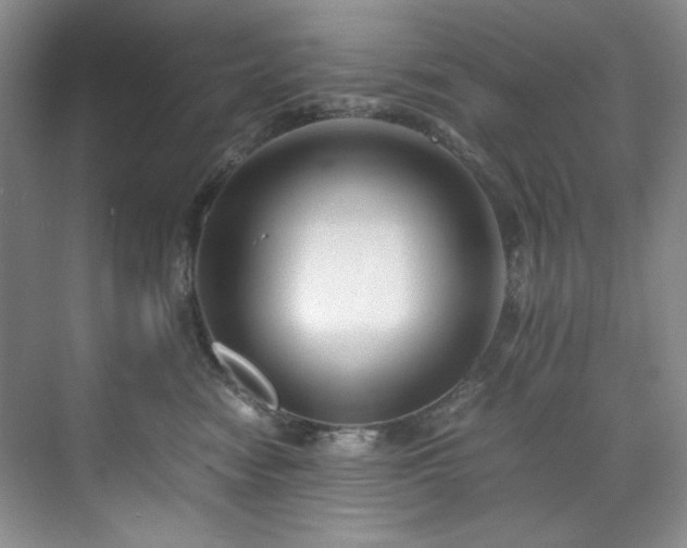 X0000071790474200607071500