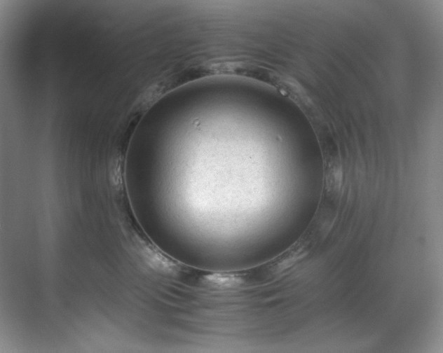 X0000071790477200607071500