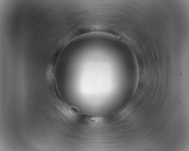 X0000071790478200607071500