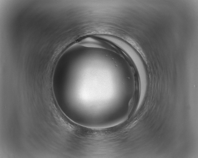 X0000071790481200607071459