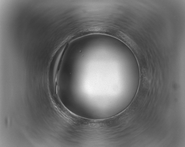 X0000071790482200607071459