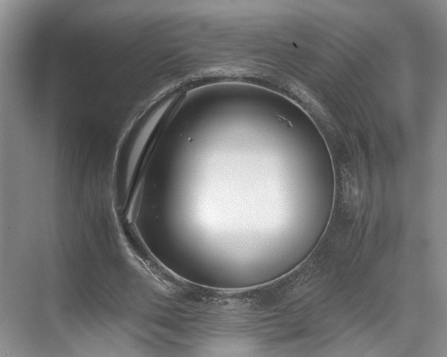 X0000071790486200607071459