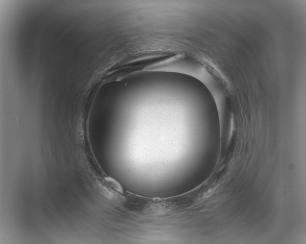 X0000071790489200607071459