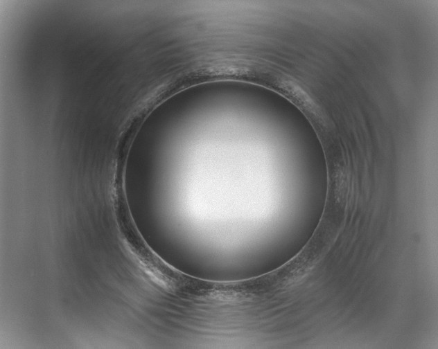 X0000071790490200607071459