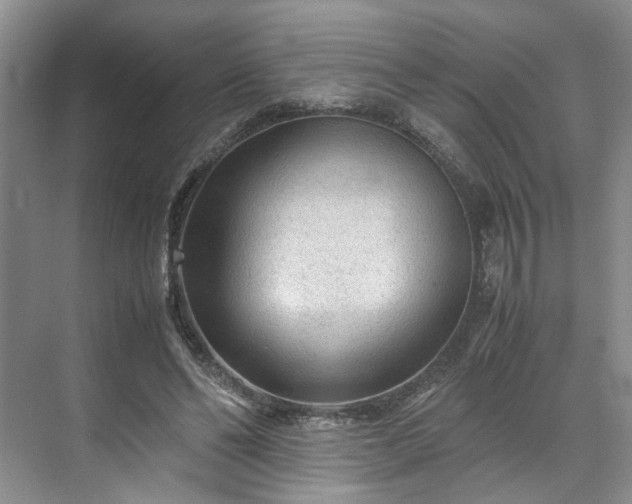 X0000071790494200607071459