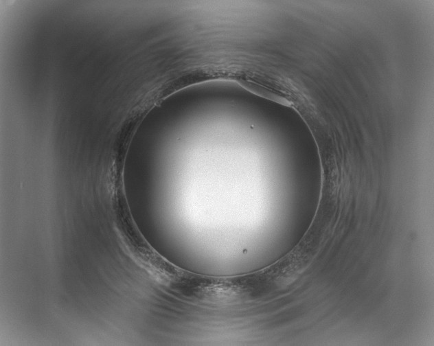 X0000071790498200607071459
