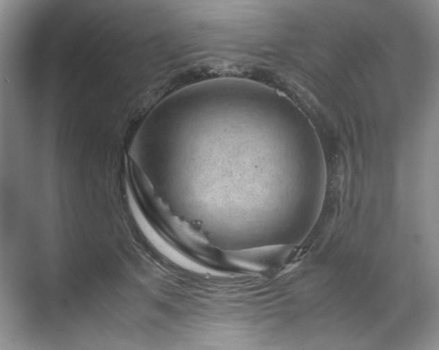 X0000071790513200607071459
