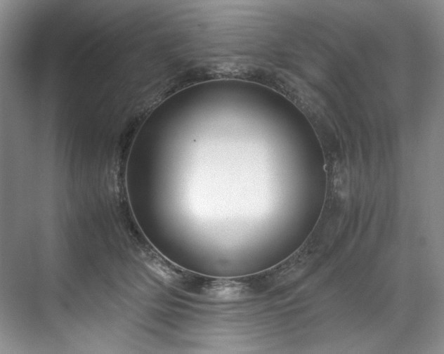 X0000071790514200607071459