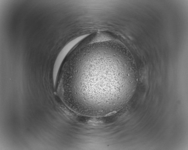 X0000071790515200607071459