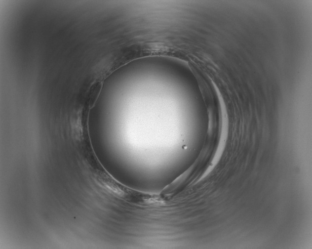 X0000071790516200607071459