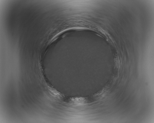 X0000071790517200607071459