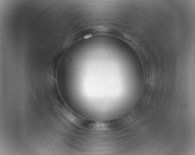 X0000071790518200607071459